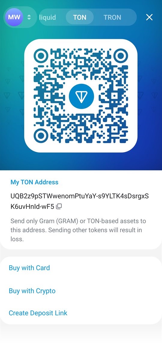 Ustarcoin Wallet Networks screen